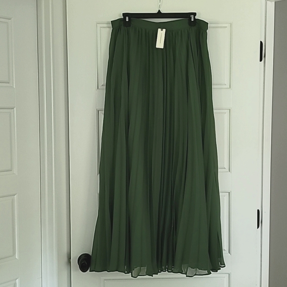NWT RARE Anthropologie tall girl maxi pleated skirt size L - Picture 3 of 13